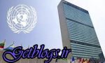 داعش هنوز 20 تا 30 هزار نیرو در سوریه و عراق دارد / شرکت ملل